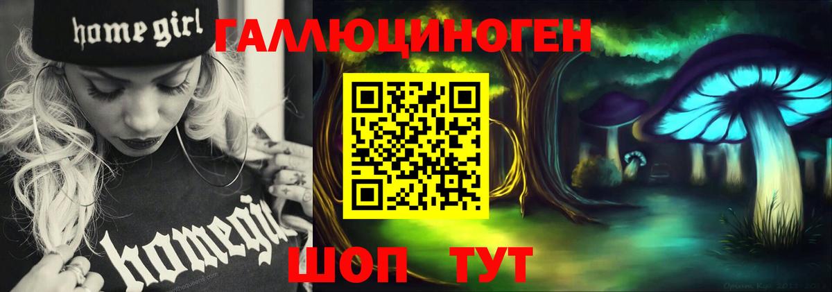 Псилоцибиновые грибы Psilocybe  Галлюциногенные грибы мухоморы  Спасск-Дальний  Вход с VPN 